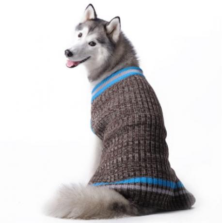 大型犬用のシティVネックセーター