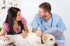Operasi anjing Anda: Apa yang diharapkan – SheKnows