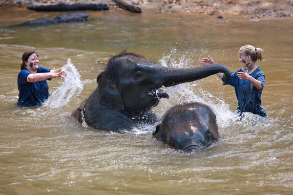 Wanita yang sedang berlibur sukarela di Thailand melindungi gajah