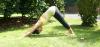 Las mejores posturas de yoga para atletas - SheKnows
