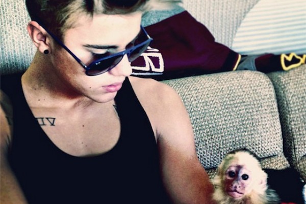 Justin Bieber en aap