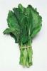 Cele patru cele mai sănătoase legume verzi - SheKnows