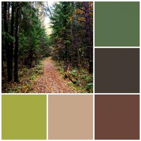 Combinazione di colori della foresta incantata