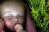 10 módszer a „zöld” baba termesztésére - SheKnows