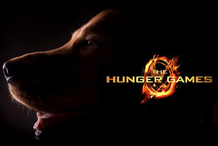 The Hunger Games -- Noms de chiens