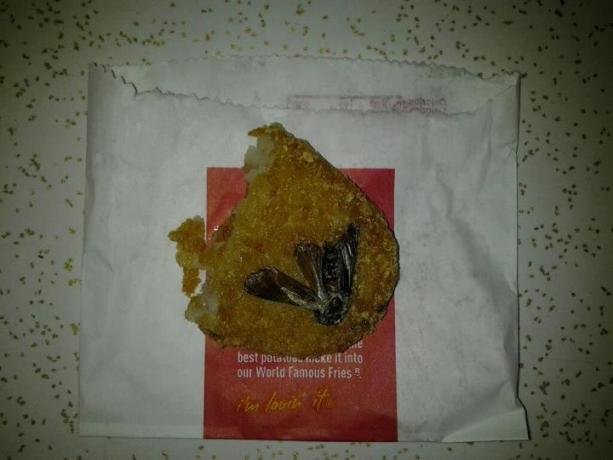 brutto zdjęcia rzekomego jedzenia McDonald's 1
