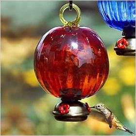 Red Ruffle Hummingbird Feeder