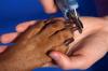 Hoe de nagels van uw hond veilig te knippen – SheKnows