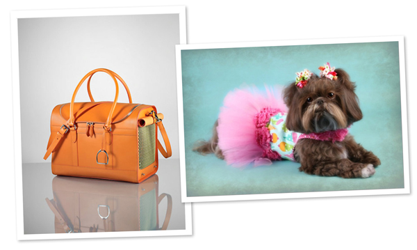 Bekleidung und Accessoires von Designerlabels für Haustiere