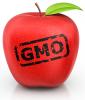 O co chodzi w żywności GMO? - Ona wie