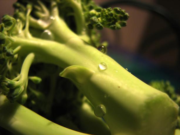 stonky brokolice