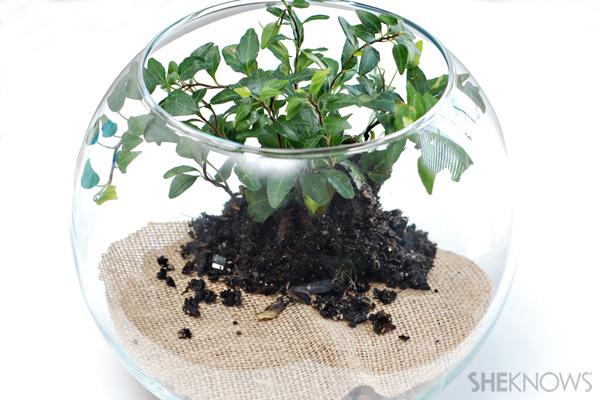 Terrarium planter