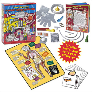 Kit scientifico a tema Scuolabus magico per bambini | Sheknows.ca