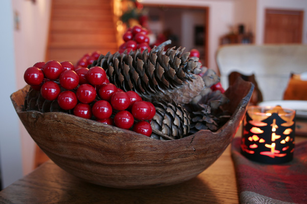 Božični prikaz bor in brusnic