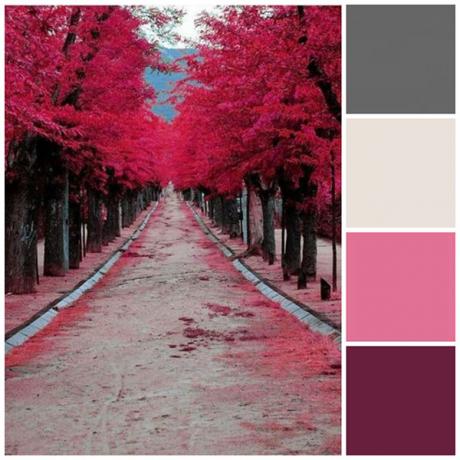 SheKnows jesienna kolorystyka różowy i fioletowy