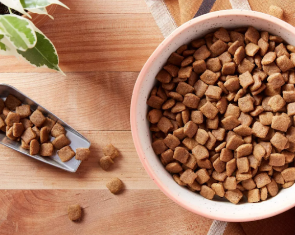Přírodní recept Suché krmivo pro psy s lososem, sladkými bramborami a dýní