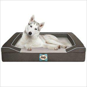 Sealy Dog Bed