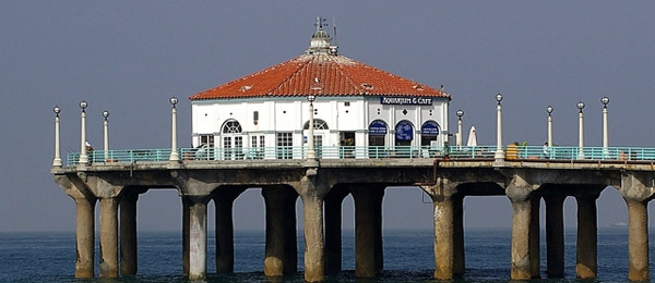 Aquário Roundhouse