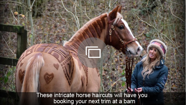 Potongan rambut kuda yang rumit ini akan membuat Anda memesan potongan rambut berikutnya di gudang