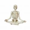 Die Yoga-Skelett-Pflanzer von Trader Joe sind zurück – SheKnows
