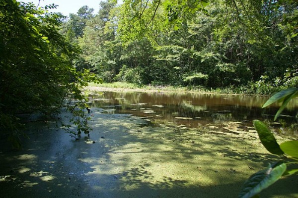 Taman Negara Bagian Trap Pond