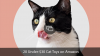 SITOANTD Weihnachtskugeln und Launcher-Katzenspielzeug: Unter 15 $ bei Amazon. - Sie weiß