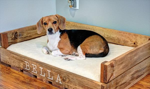 Dřevěná paletová postel pro psa