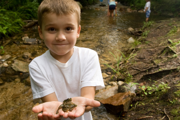 Mały chłopiec trzymający żabę