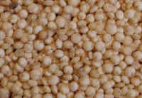 Quinoa-Getreide
