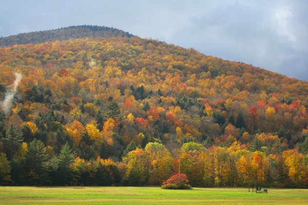  Top 10 schijven om herfstkleuren te zien in de VS 