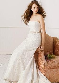 Lace Fit dan Flare Gown