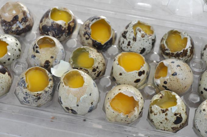 как приготовить перепелиные яйца