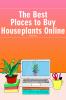 A legjobb helyek a szobanövények online vásárlásához - SheKnows