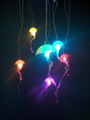 varavīksnes medūzu gaismas