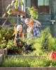 Késő nyári kert ültetése gyerekekkel-SheKnows