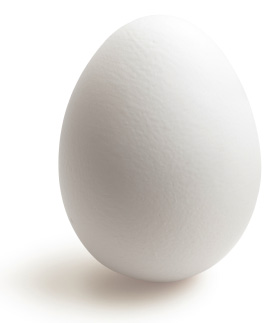 æg