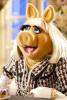 Die Muppets setzen im neuen Filmtrailer auf Ruhm und Töpfchen-Humor – SheKnows