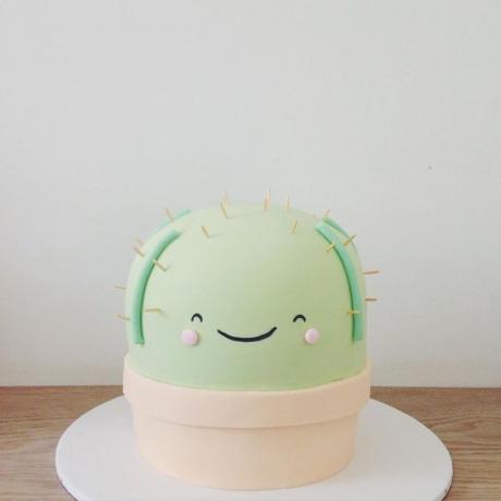Modernas dzimšanas dienas kūkas no Instagram | Kaktusa kūka