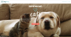 Milovníci mačiek môžu vďaka tomuto novému webu-SheKnows-cestovať bez viny