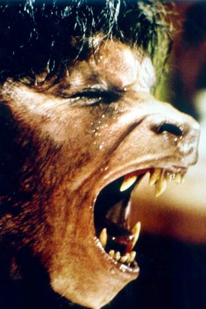 David Naughton als David Kessler in Ein amerikanischer Werwolf in Paris