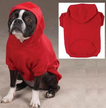 შინაური ცხოველების hoodies