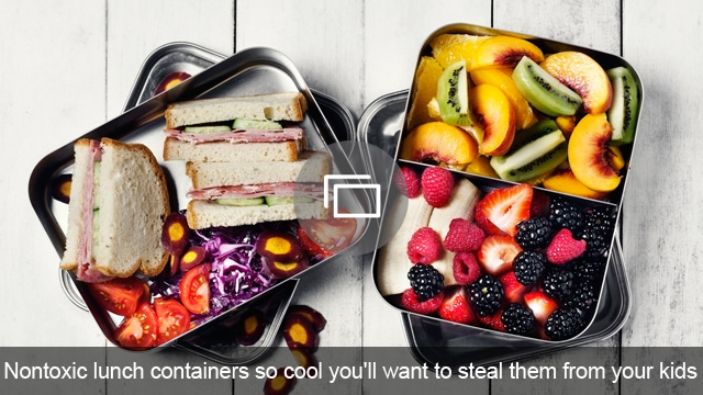 Ungiftige Lunchboxen, die so cool sind, dass Sie sie Ihren Kindern stehlen möchten