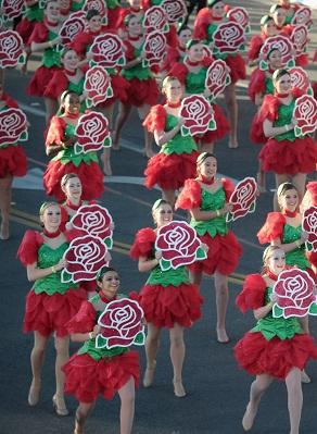 Λουλούδια παρέλασης τριαντάφυλλου πορείας πορείας