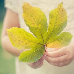 Dziewczyna trzyma jesienny liść