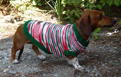 Csíkos kutya pulóver