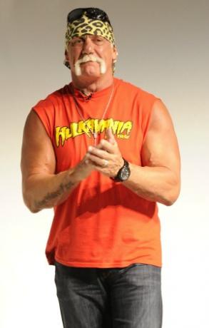 Hulk Hogan enthüllt die Geheimnisse seiner dunklen Vergangenheit 