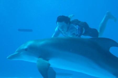 Delfīnu pasaka kinoteātros nonāk 2011. gada septembrī
