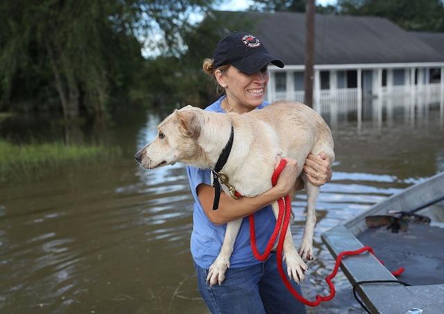 Louisiana -tulvat 2016