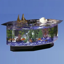 akvarium soffbord