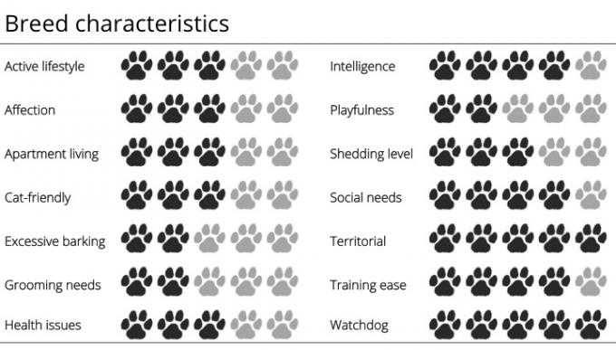 Značilnosti pasme rottweiler